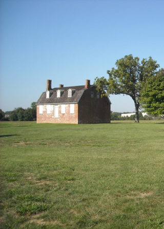 delaware-preservation-buttonwood-endangered1.jpg